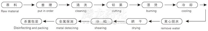 脫水蔬菜帶式干燥工藝流程